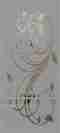 G3 Image